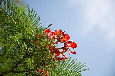 横尾太郎：如今游戏行业的“怪人”越来越少了